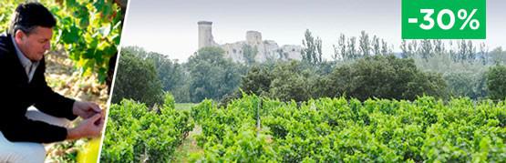 Châteauneuf-du-Pape : un grand 2016 à moins de 20€