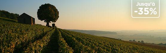 Beaune 1er Cru d'une des plus grandes maisons de Bourgogne