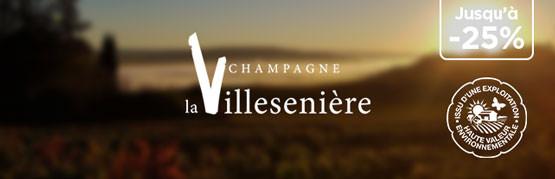 Champagnes parcellaires millésimés et élevés en fût