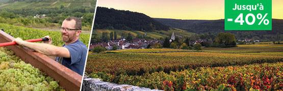 Les grands vins de Bourgogne de Colin Seguin