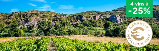 La grande Colette de Provence et les autres...