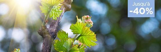 Foire aux vins de printemps