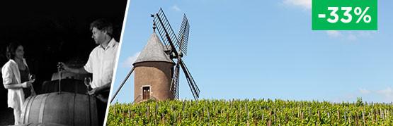 Rapport qualité/prix imbattable pour ce Moulin-à-Vent