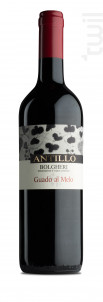 Antillo - Guado al Melo - 2022 - Rouge